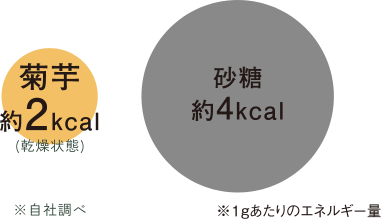 菊芋1gあたりのエネルギー量 約2kcal