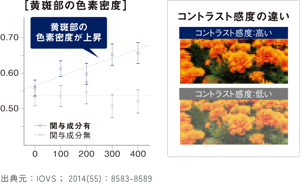 黄斑部の色素密度