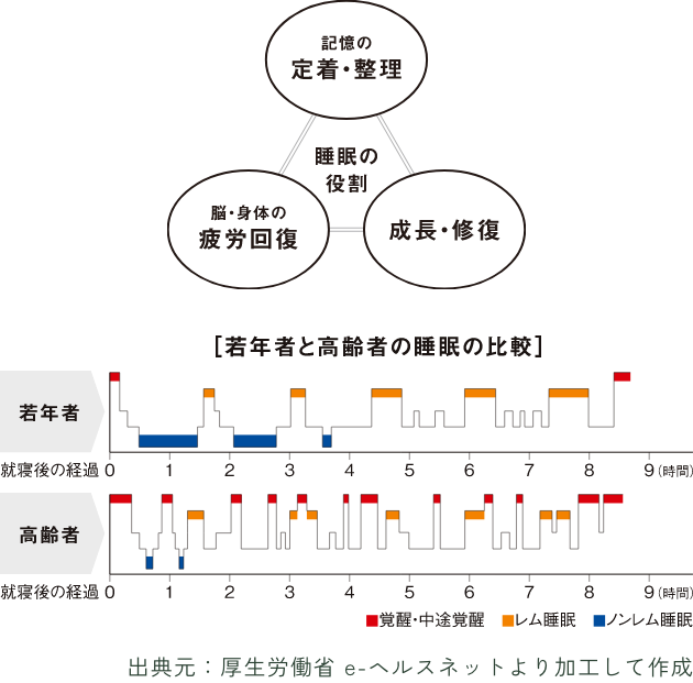 若年者と高齢者の睡眠の比較