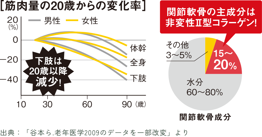 筋肉量の20歳からの変化率グラフ