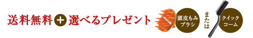 送料無料＋選べるプレゼント