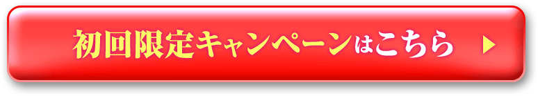 初回限定キャンペーンで購入する▼