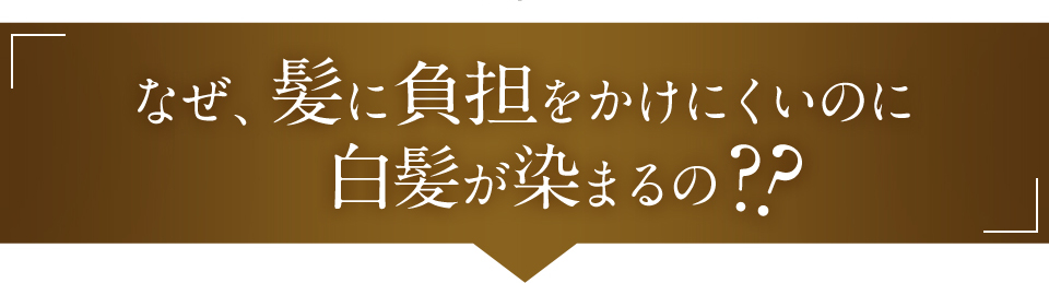 でも・・・ なぜ、髪に負担をかけにくいのに白髪が染まるの??