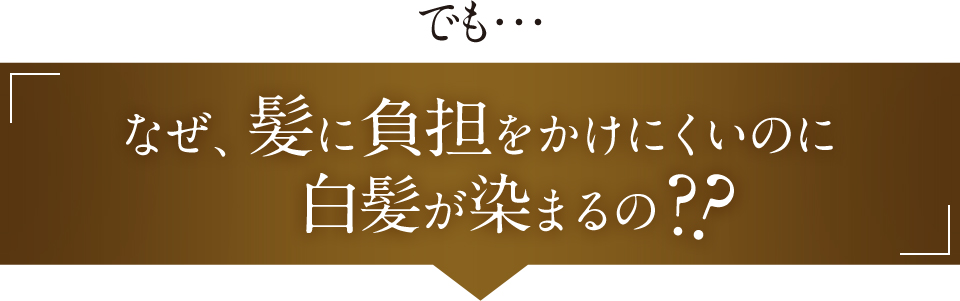 でも・・・ なぜ、髪に負担をかけにくいのに白髪が染まるの??