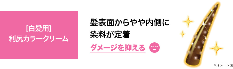 白髪用利尻カラークリーム 髪表面から内側に染料が定着 ダメージを抑える