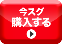 今すぐ購入する