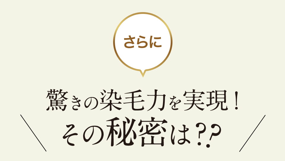 さらに 驚きの染毛力を実現！ その秘密は??