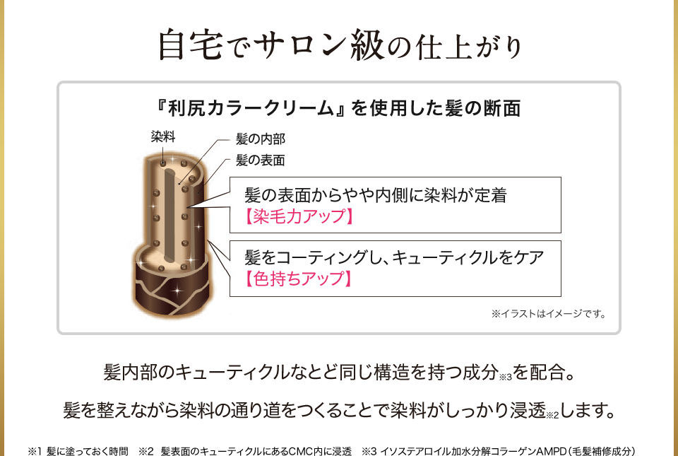 自宅でサロン級の仕上がり 『利尻カラークリーム』を使用した髪の断面 髪の表面からやや内側に染料が定着【染毛力アップ】 髪をコーティングし、キューティクルをケア【色持ちアップ】 ※イラストはイメージです。 髪内部のキューティクルなとど同じ構造を持つ成分※3を配合。髪を整えながら染料の通り道をつくることで染料がしっかり浸透※2します。 ※1 髪に塗っておく時間　※2  髪表面のキューティクルにあるCMC内に浸透　※3 イソステアロイル加水分解コラーゲンAMPD（毛髪補修成分）