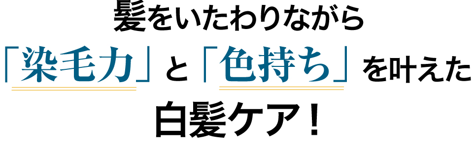 髪と頭皮をいたわりながら 「染毛力」と「色持ち」を叶えた 白髪ケアがついに誕生！