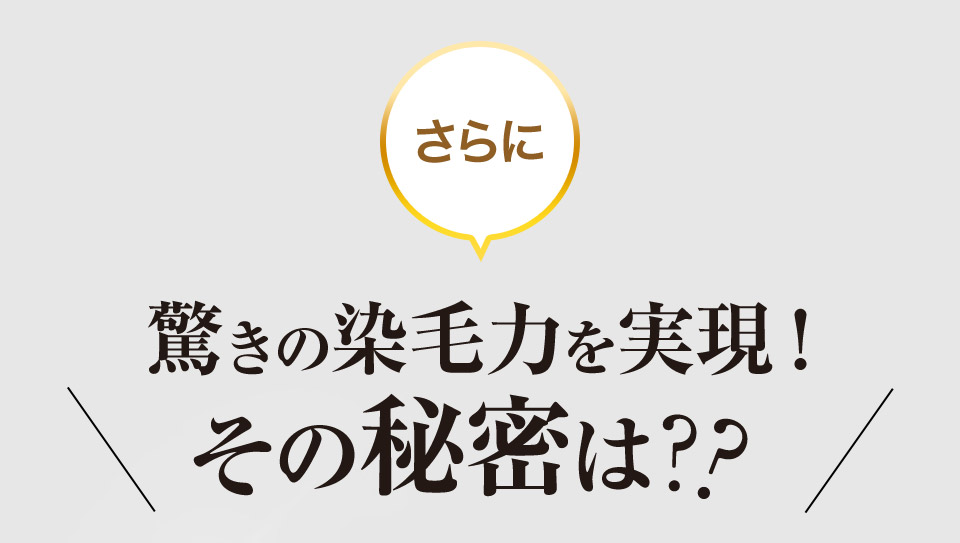 さらに 驚きの染毛力を実現！ その秘密は??