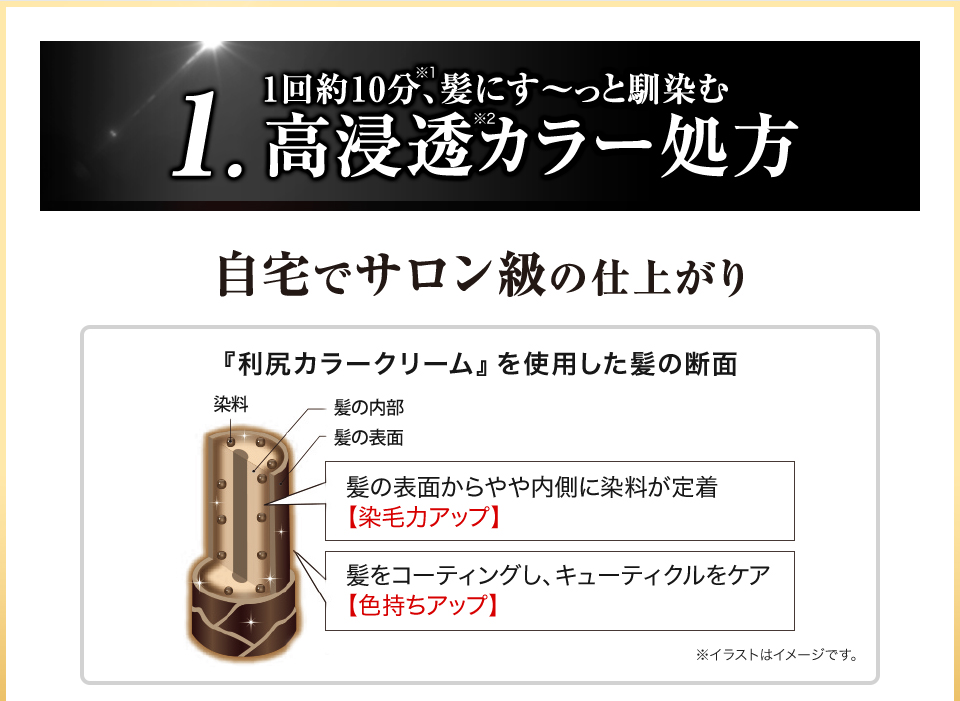 1. 1回約10分※1、髪にす～っと馴染む高浸透※2カラー処方 自宅でサロン級の仕上がり 『利尻カラークリーム』を使用した髪の断面 髪の表面からやや内側に染料が定着【染毛力アップ】 髪をコーティングし、キューティクルをケア【色持ちアップ】 ※イラストはイメージです。