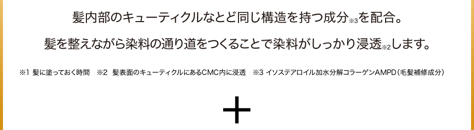  髪内部のキューティクルなとど同じ構造を持つ成分※3を配合。髪を整えながら染料の通り道をつくることで染料がしっかり浸透※2します。 ※1 髪に塗っておく時間　※2  髪表面のキューティクルにあるCMC内に浸透　※3 イソステアロイル加水分解コラーゲンAMPD（毛髪補修成分）