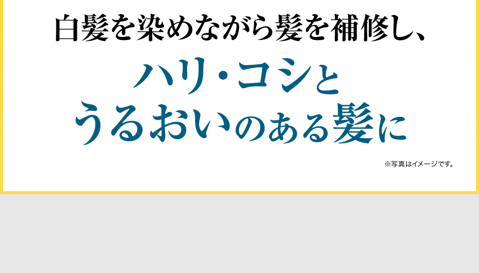 白髪を染めながら髪を補修し、ハリ、コシ、うるおいのある髪に ※写真はイメージです。