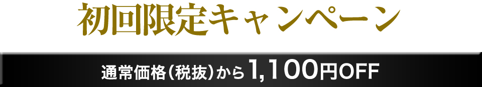 新発売 初回限定キャンペーン 通常価格（税抜）から1,100円OFF