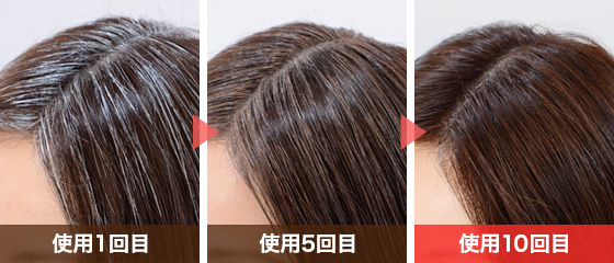【写真】使用経過イメージ