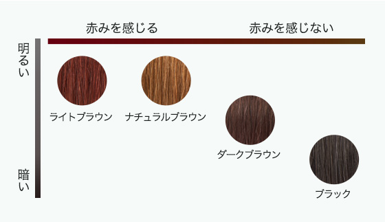 カラーチャート