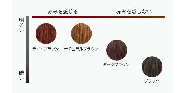 カラー4色早見表 ライトブラウン ナチュラルブラウン ダークブラウン ブラック