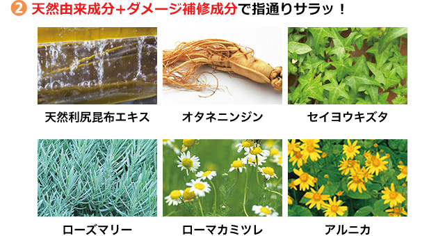 2 天然由来成分＋ダメージ補修成分で指通りサラッ！ 天然利尻昆布エキス オタネニンジン セイヨウキズタ ローズマリー ローマカミツレ アルニカ