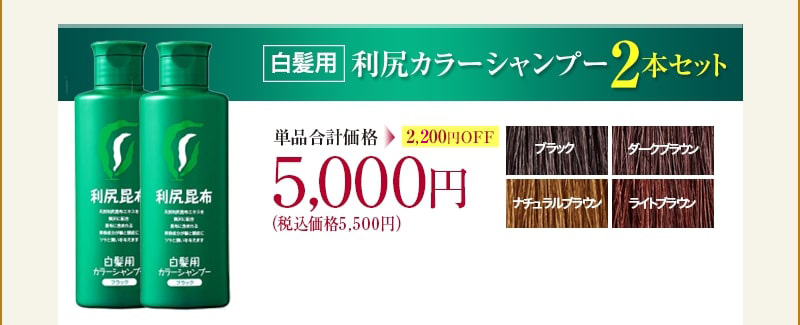 白髪用利尻カラーシャンプー2本セット 単品合計額2,000円OFF 5,000円(税込価格5,500円)