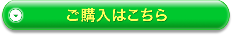 白髪用 利尻カラーシャンプー2本セット