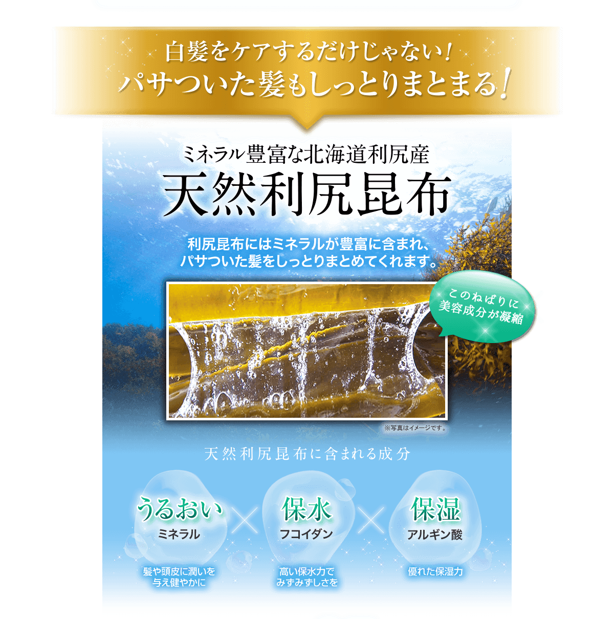 白髪ケアだけじゃない！ぱさついた髪もしっとりまとまる