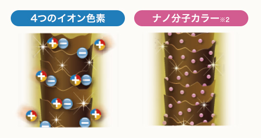 4つのイオン色素 ナノ分子カラー