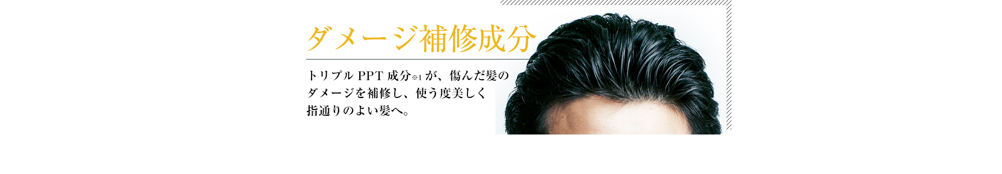 ダメージ補修成分,トリプルPPT成分※1が、傷んだ髪のダメージを補修し、使う度美しく指通りのよい髪へ。