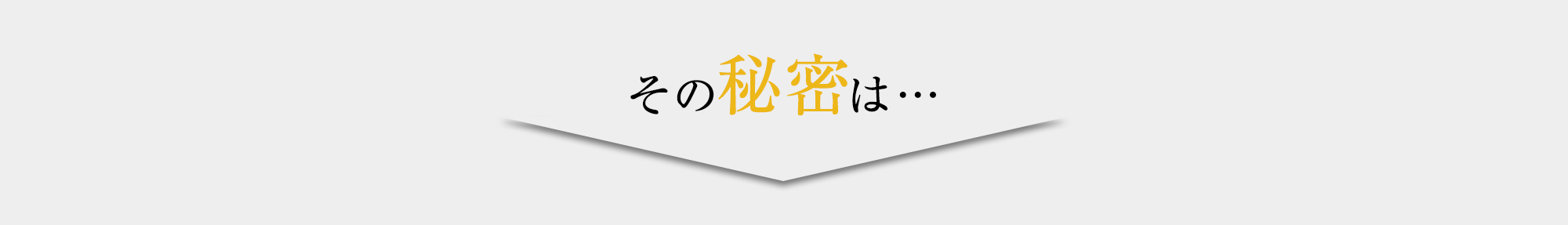 その秘密は…