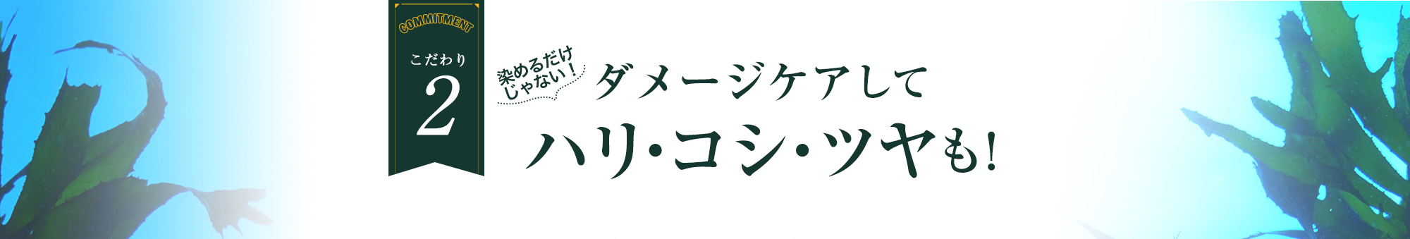 こだわり2,染めるだけじゃない！ダメージケアしてハリ・コシ・ツヤも！