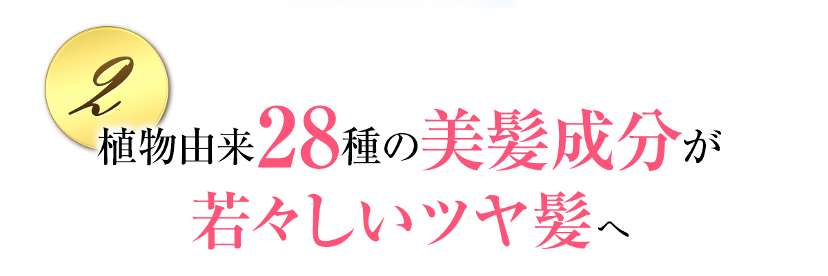 ②植物由来28種の美髪成分が若々しいツヤ髪へ