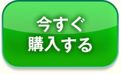 今すぐ購入する