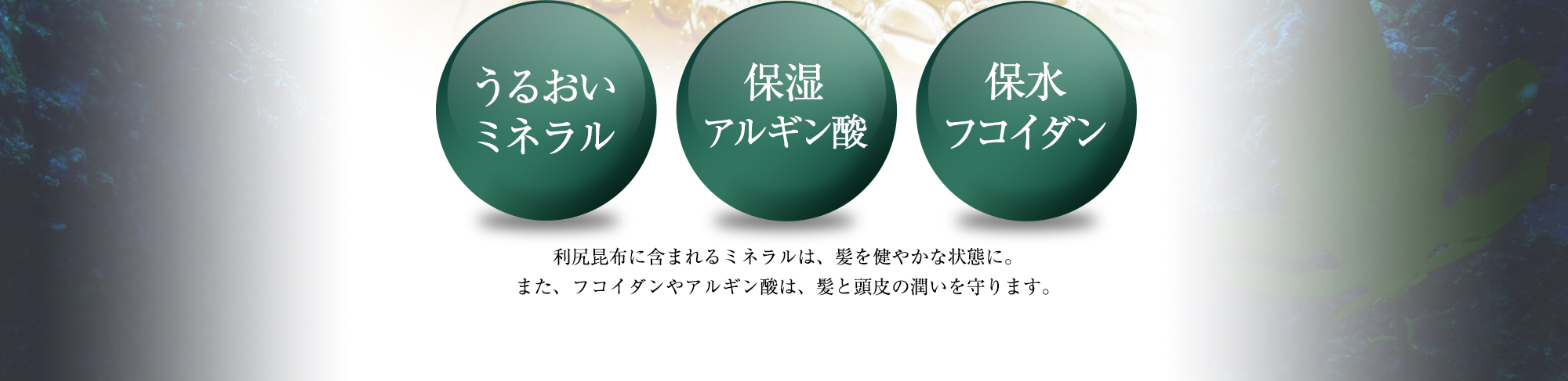 うるおいミネラル,保湿アルギン酸,保水フコイダン,利尻昆布に含まれるミネラルは、髪を健やかな状態に。また、フコイダンやアルギン酸は、髪と頭皮の潤いを守ります。