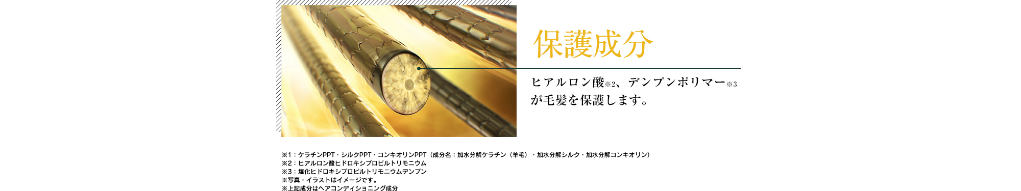 保護成分,ヒアルロン酸※2、デンプンポリマーが毛髪を保護します。