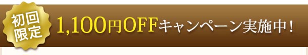 【初回限定】1,100円OFFキャンペーン実施中！