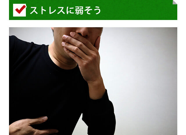 ストレスに弱そう