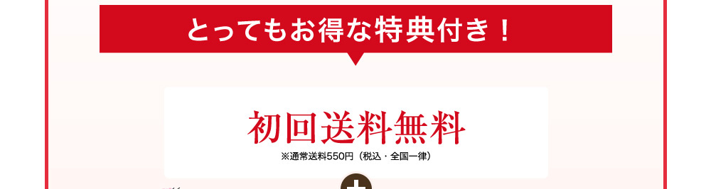 とってもお得な典付き！ 初回送料無料