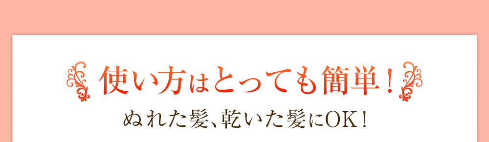 【使い方はとっても簡単！】ぬれた髪、乾いた髪にOK！