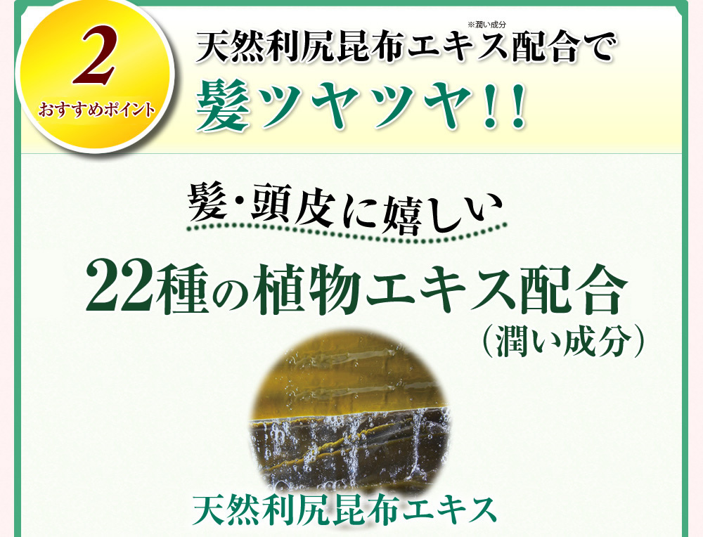 2 人気の秘密 天然利尻昆布エキス配合で髪ツヤツヤ！！ 髪・頭皮に嬉しい 22種類の植物エキス配合 （潤い成分） 天然利尻昆布エキス 