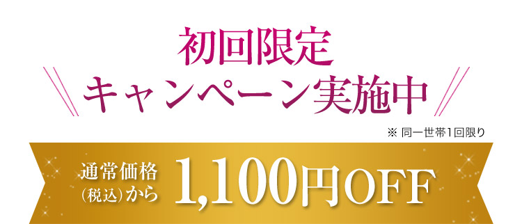 初回限定キャンペーン実施中 ※同一世帯1回限り 通常価格 （税込）から1,100円OFF