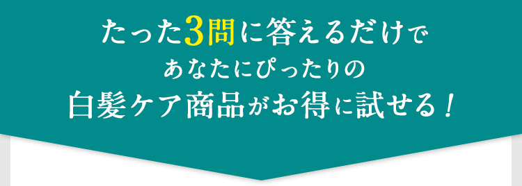 たった3問に答えるだけで あなたにぴったりの 白髪ケア商品がお得に試せる！