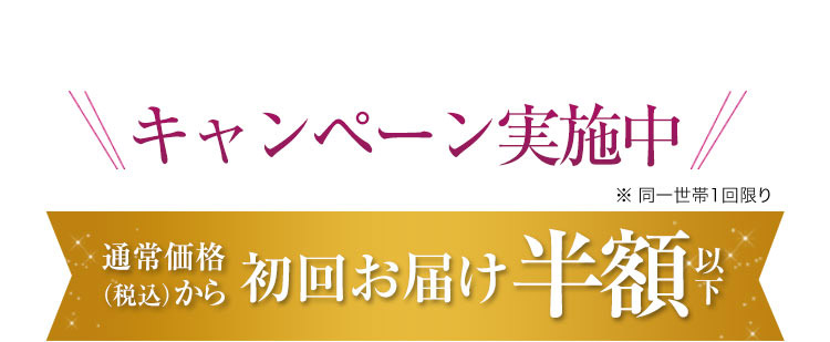 初回限定キャンペーン実施中 ※同一世帯1回限り 通常価格 （税込）から1,100円OFF