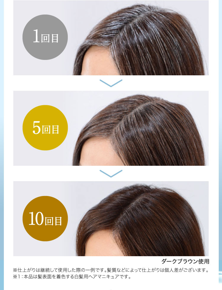 1回目 5回目 10回目