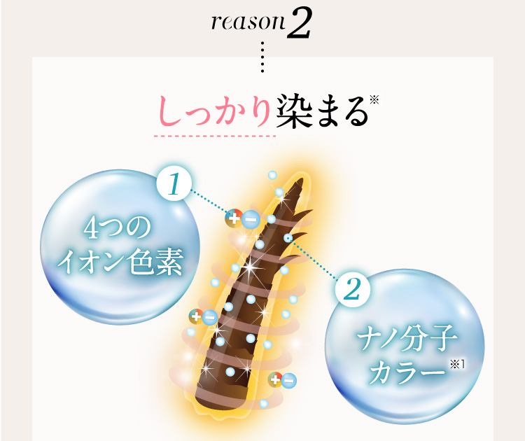 reason2 しっかり染まる