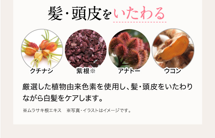 髪・頭皮をいたわる