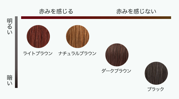 カラー4色早見表 ライトブラウン ナチュラルブラウン ダークブラウン ブラック