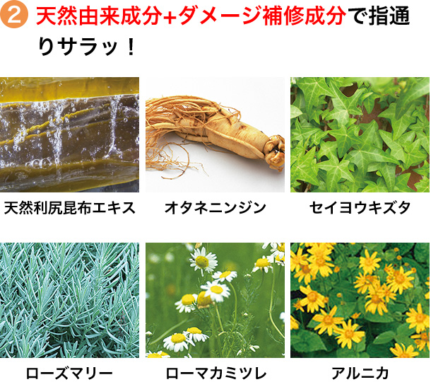 2 天然由来成分＋ダメージ補修成分で指通りサラッ！ 天然利尻昆布エキス オタネニンジン セイヨウキズタ ローズマリー ローマカミツレ アルニカ