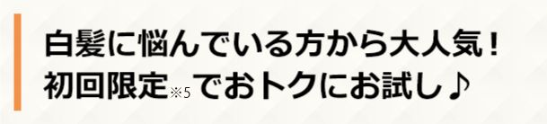 白髪に悩んでいる方から大人気！初回限定※5でおトクにお試し♪