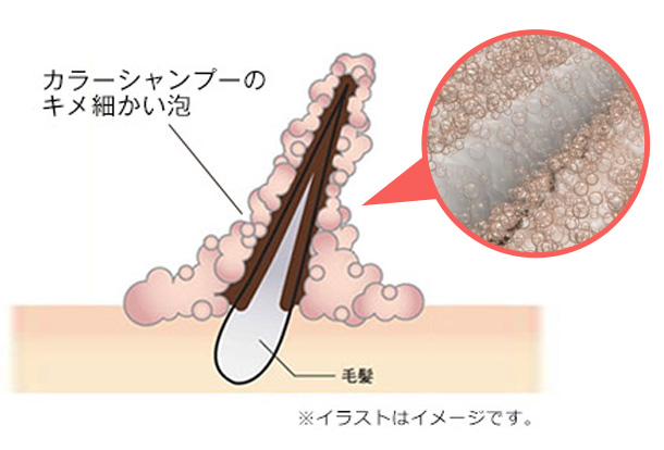 カラーシャンプーのキメ細かい泡 ※イラストはイメージです。