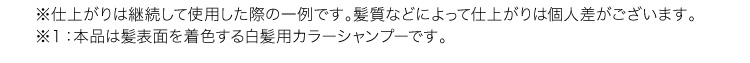 ※仕上がりは継続して使用した際の一例です。髪質などによって仕上がりは個人差がございます。※１：本品は髪表面を着色する白髪用ヘアマニキュアです。