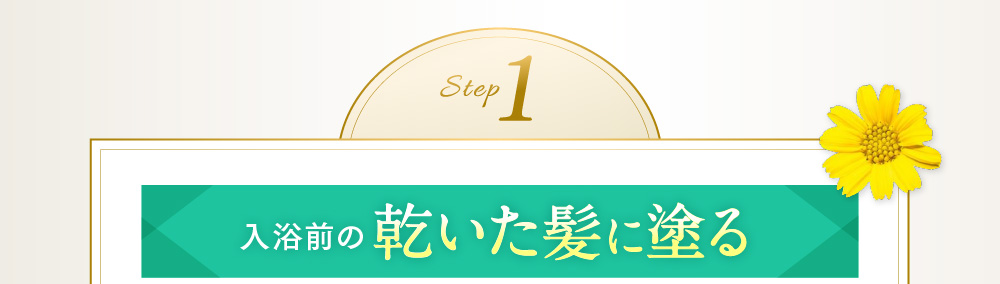 step1 入浴前の乾いた髪に塗る